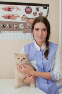 Фотография Veterinar 54 5